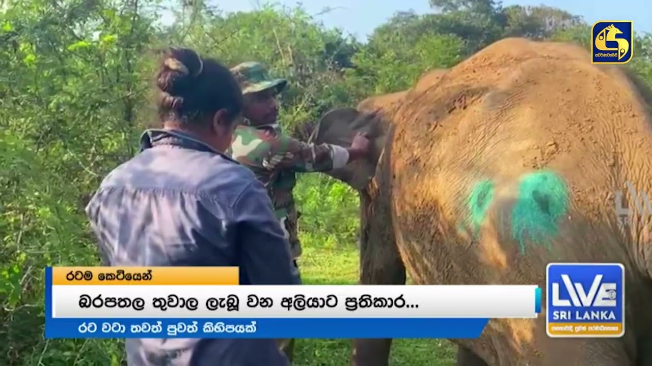 මඟී බෝට්ටු අනතුරින් අතුරුදන්වූවන් සොයා විමර්ශන