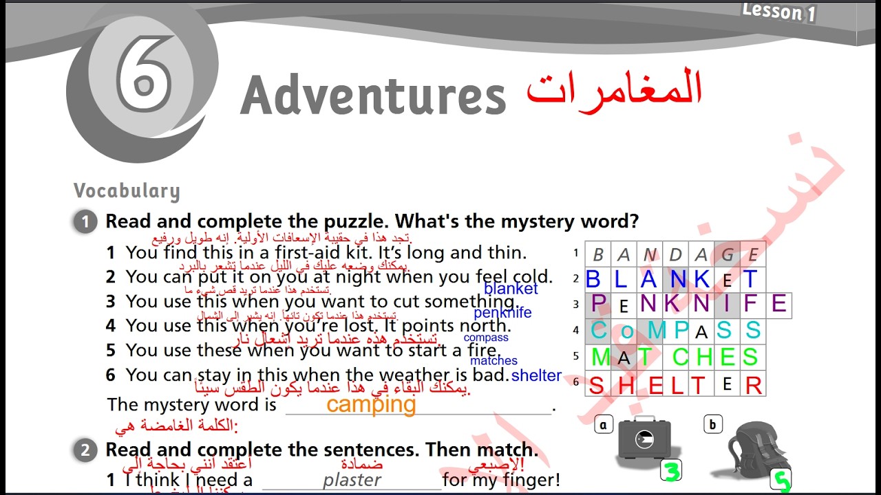 الصف السادس انجليزي ( الفصل الثاني ) كتاب التمارين صفحه 14 المنهاج الجديد  Jordan Team together