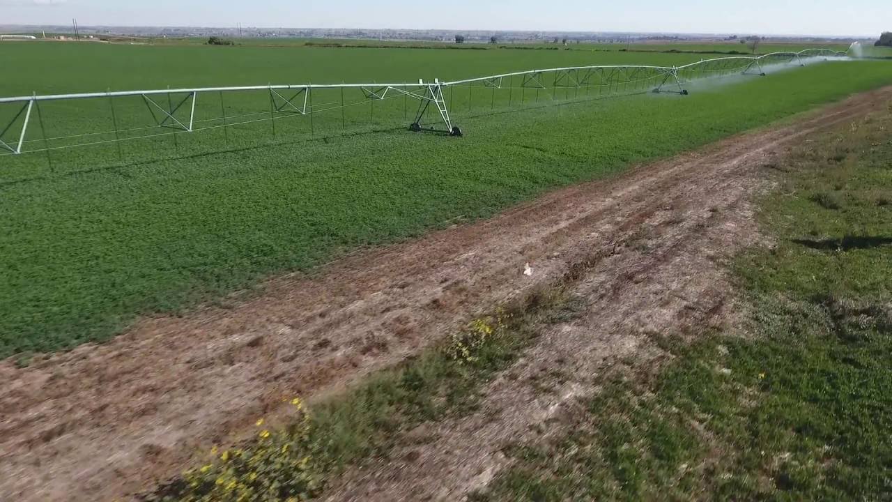 Aerial Imagery Drone Video Weld County Agriculture