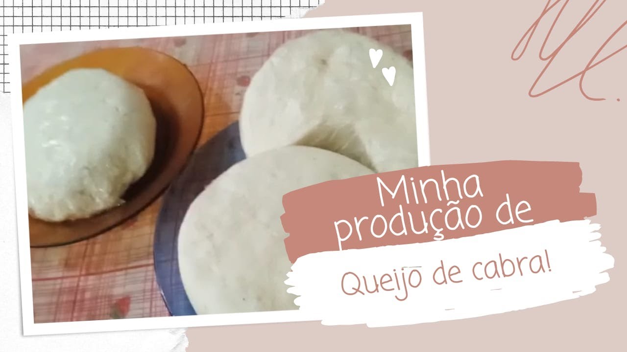 Como fazer queijo de leite de cabra!