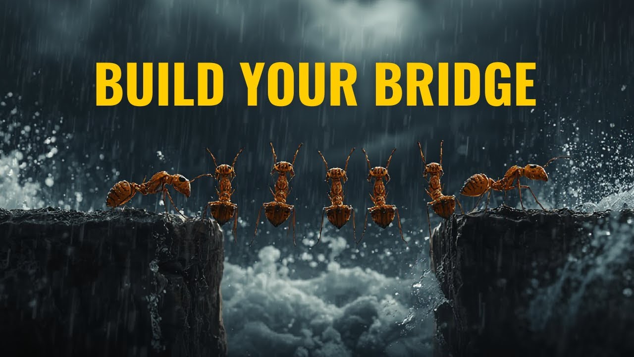 A Powerful Story About Teamwork. | Power of Unity. #moralstories #motivation #bhuddist