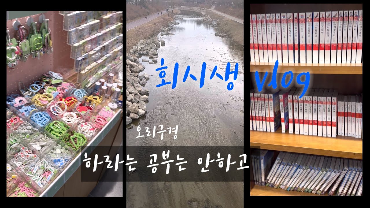 회시생 브이로그 | 공부안한 하루 리뷰 
