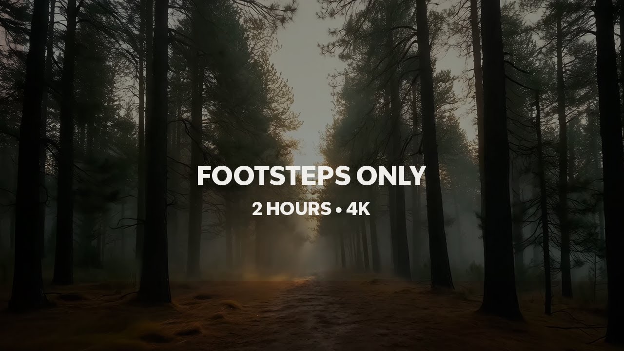 2 Hours Forest Walking Sounds 🌲 | 4K Gentle Footsteps Only