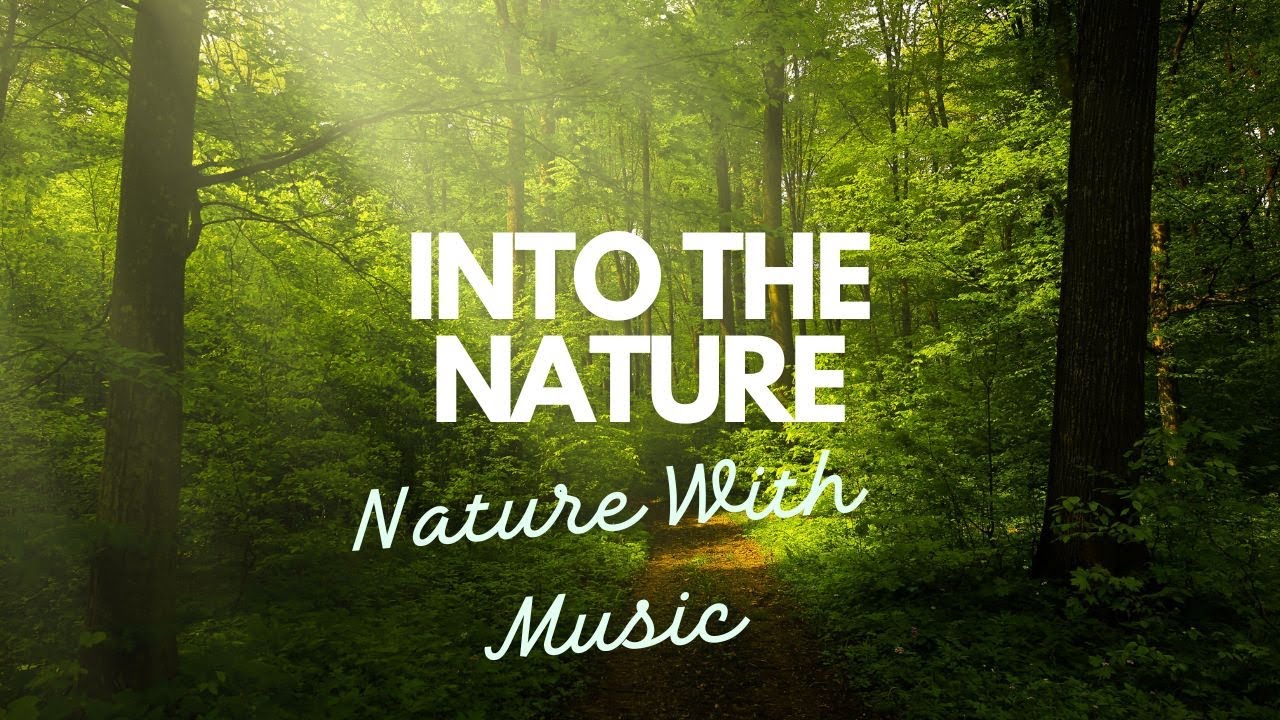 4 Morning Music, Meditation, Insomnia, Relaxing Music, Sleep, Study, Zen, Calm #music 90Mints #05