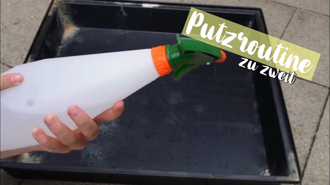 PUTZROUTINE 🫧🐰 zu zweit
