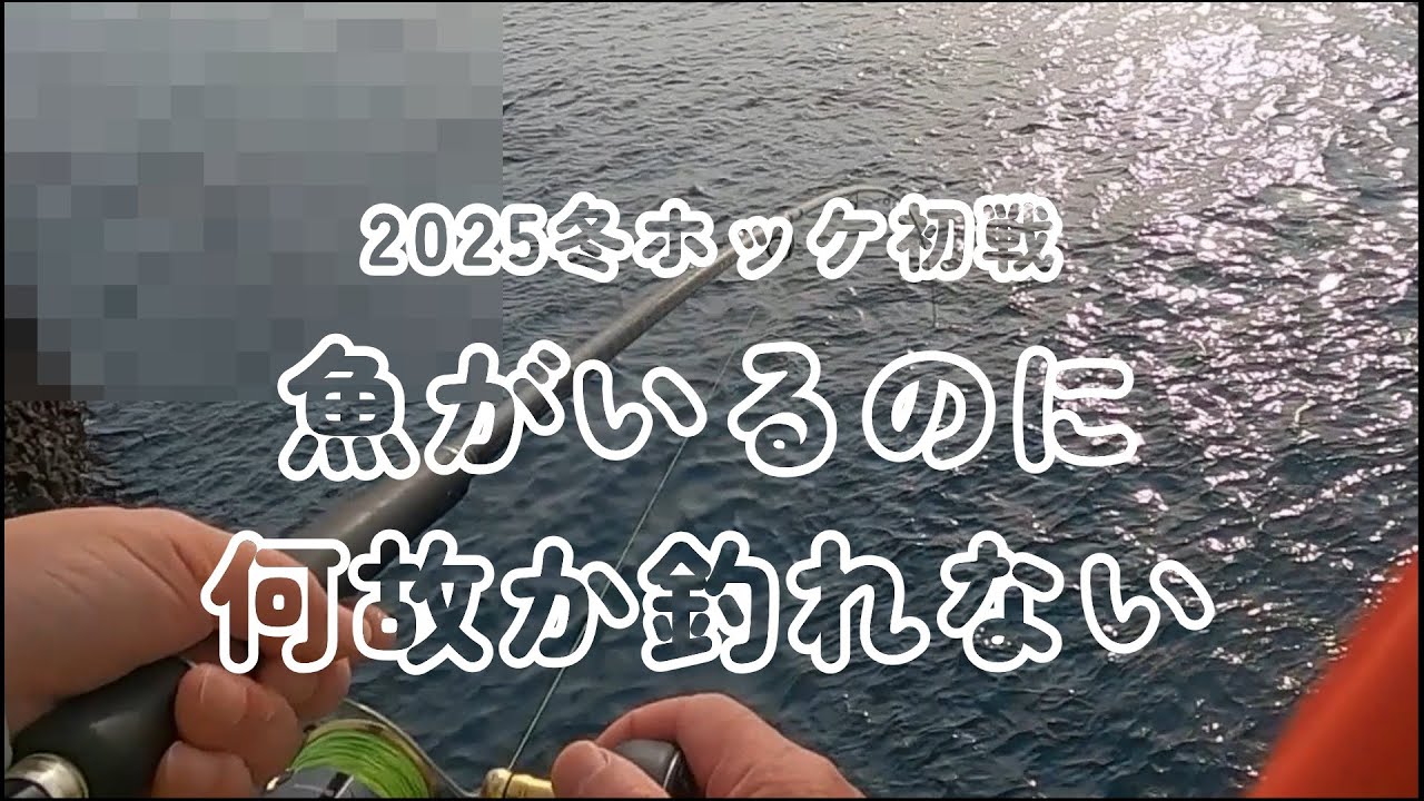 2025冬ホッケ初戦※魚がいるのに何故か釣れない