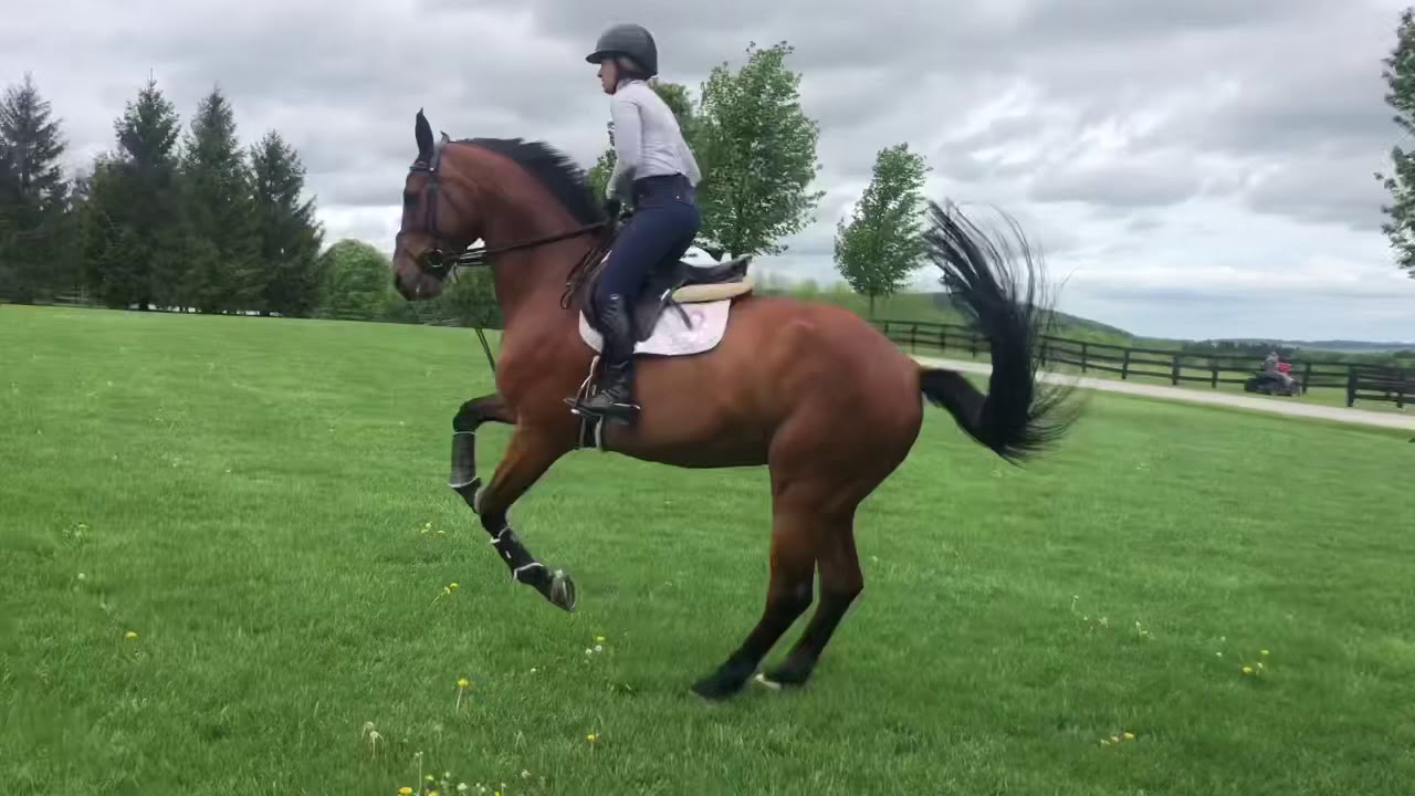 Beezie and Katherine flat Coach at home