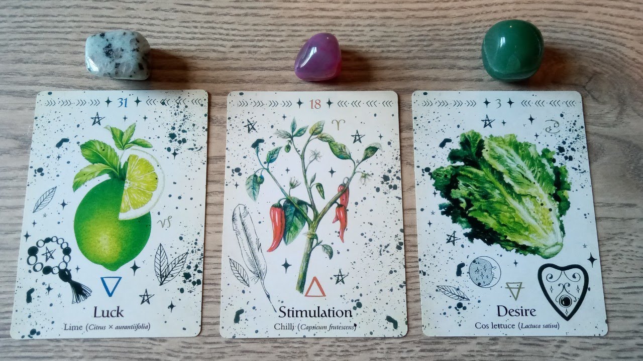 ✨🩷WHAT WILL HAPPEN BETWEEN US? WHAT'S THE FUTURE OF THIS CONNECTION ? ✨🩷PICK A CARD✨🩷