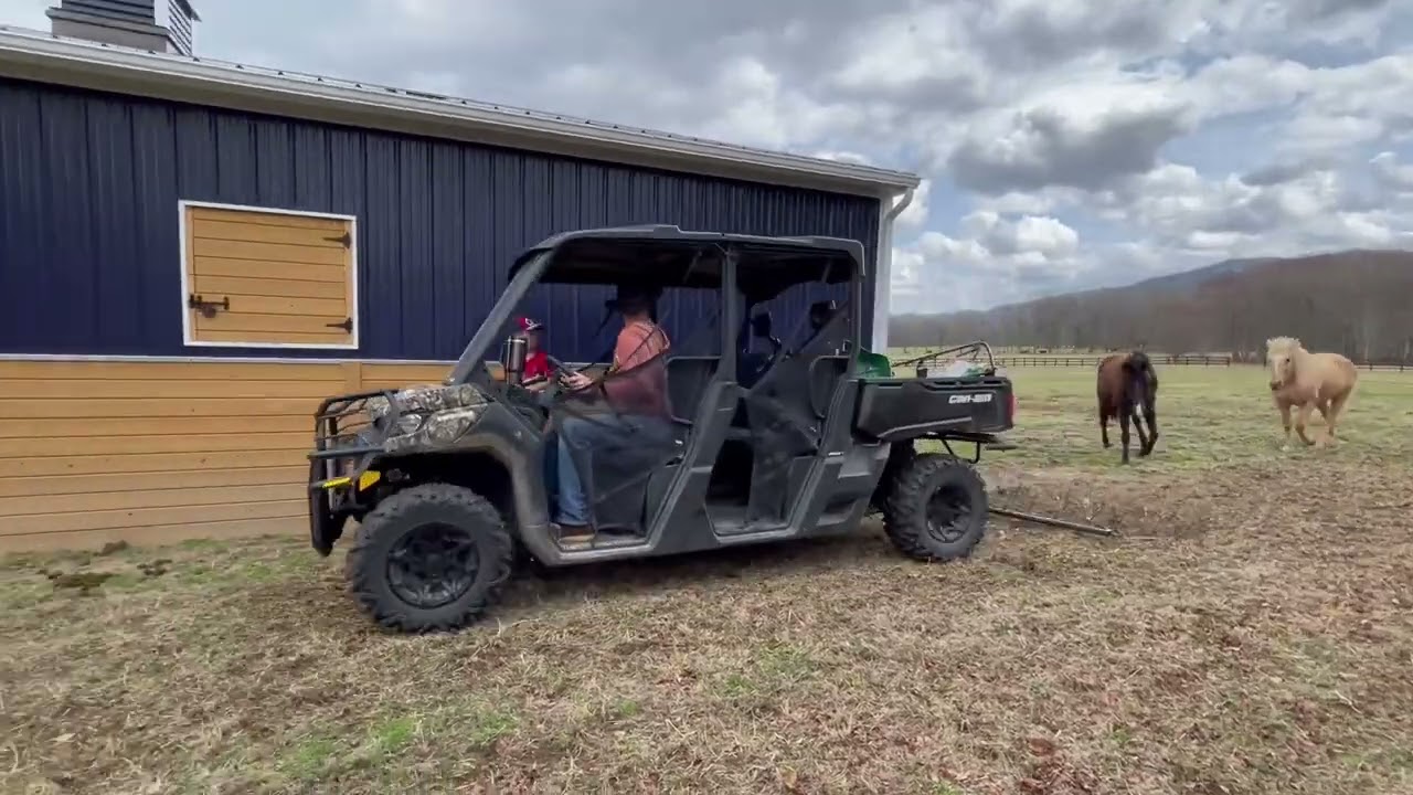 Horse Manure Spreading, Organic Fertilizer for Pasture with Drag Harrow
