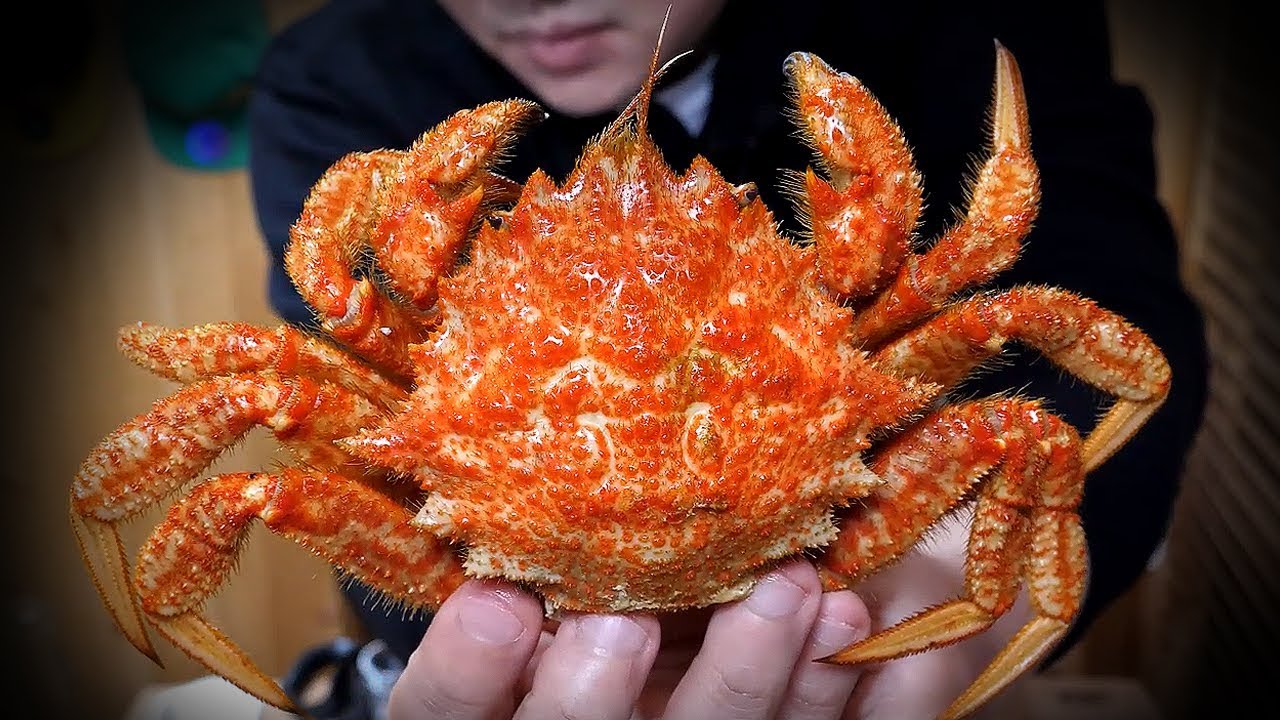 살아있는 털게 1KG 쪄서 Mukbang korea eatingshow