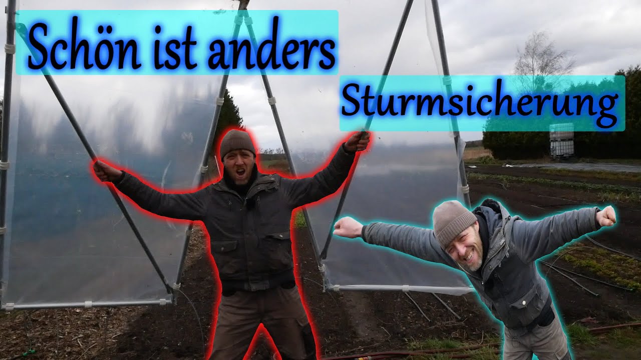 Glück im Unglück - Nach dem Sturm