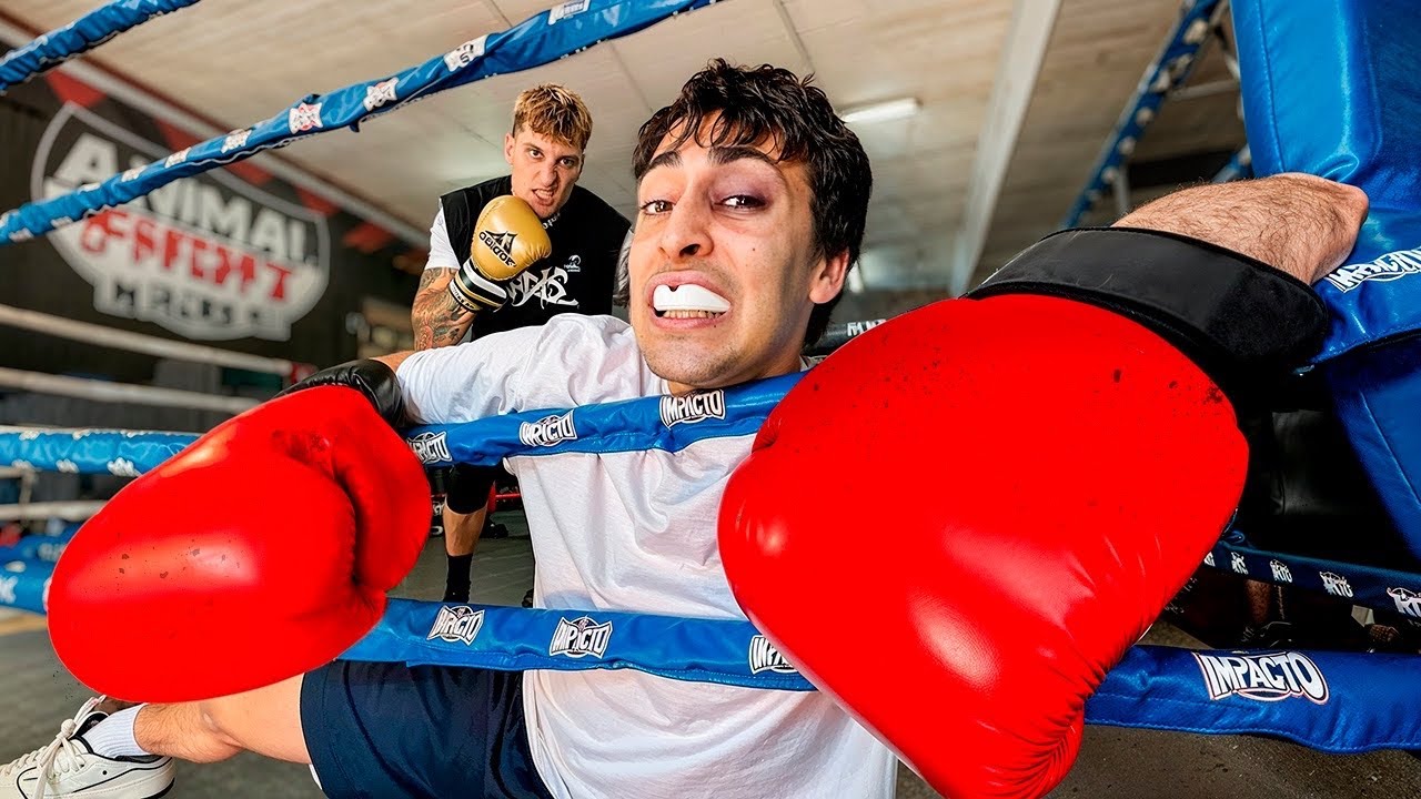 7 Días Para Aprender a Boxear