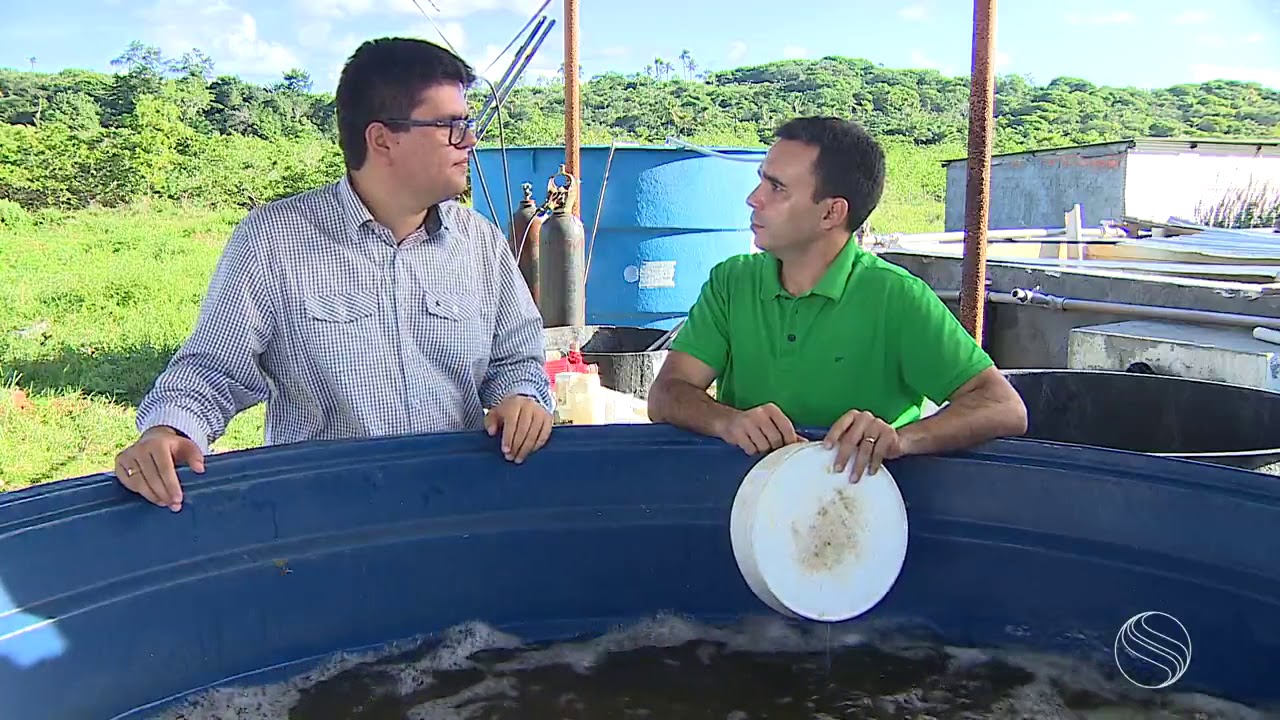 BIOFLOCOS - O VIDEO MAIS VISTO II - ATÉ QUE ENFIM ESTAMOS TOMANDO CONTA DO BRASIL