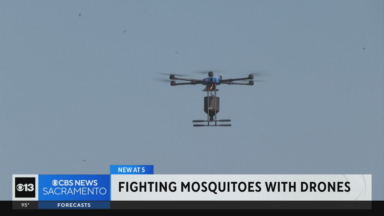 How vector control is using drones to combat mosquitos