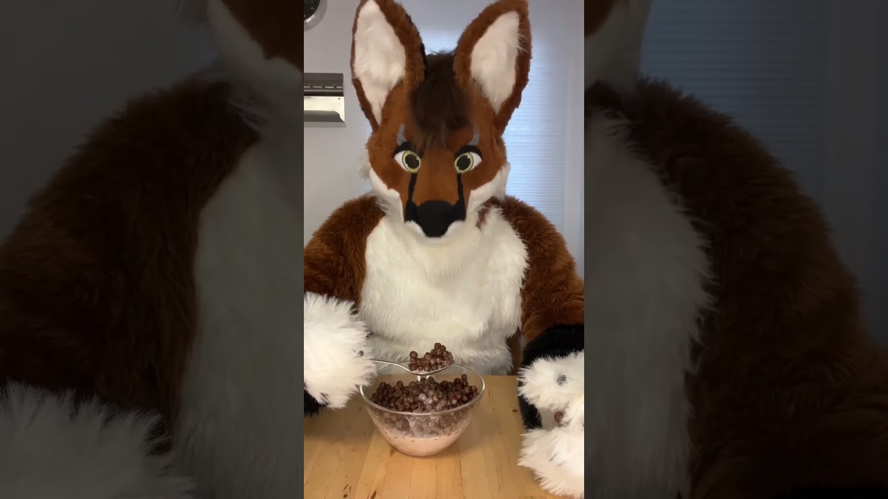 Pooping??? #fursuitfriday #werefoxaries #deaf #fursuitdeaf #fursuit #goat #milk #poop #shorts