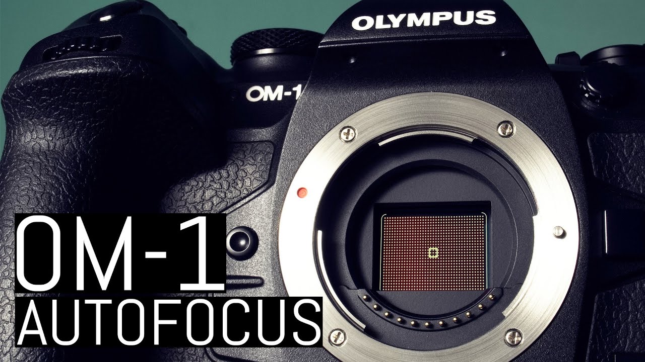 OM System OM-1: The Autofocus Masterclass