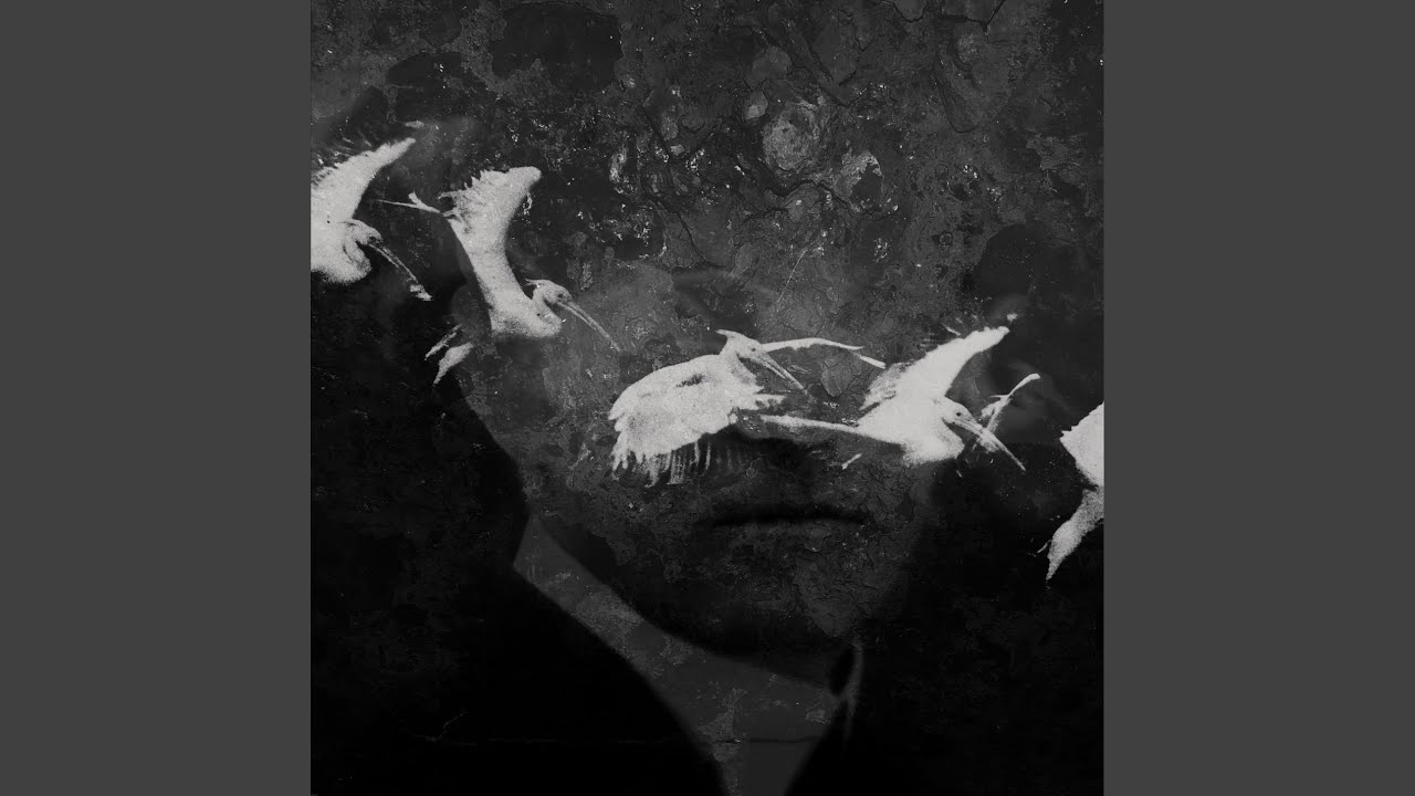Noctambulism (Swarm Intelligence Remix)