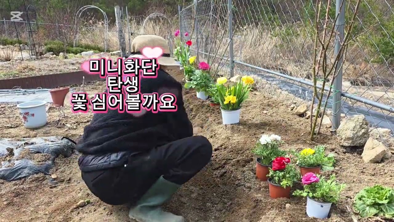 #봄맞이#미니화만들기#봄꽃심기#숲속#정원관리하다#튜울립#카라#후리지아#라넌큘러스#카네이션#수선화#다알리아