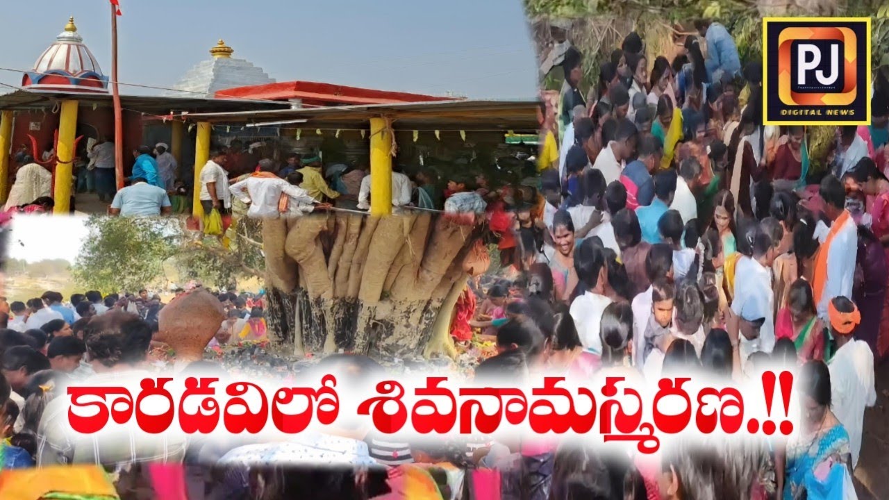 శైవ క్షేత్రాల్లో మహాశివరాత్రి వేడుకలు || Mahashivratri celebrations in Adilabad