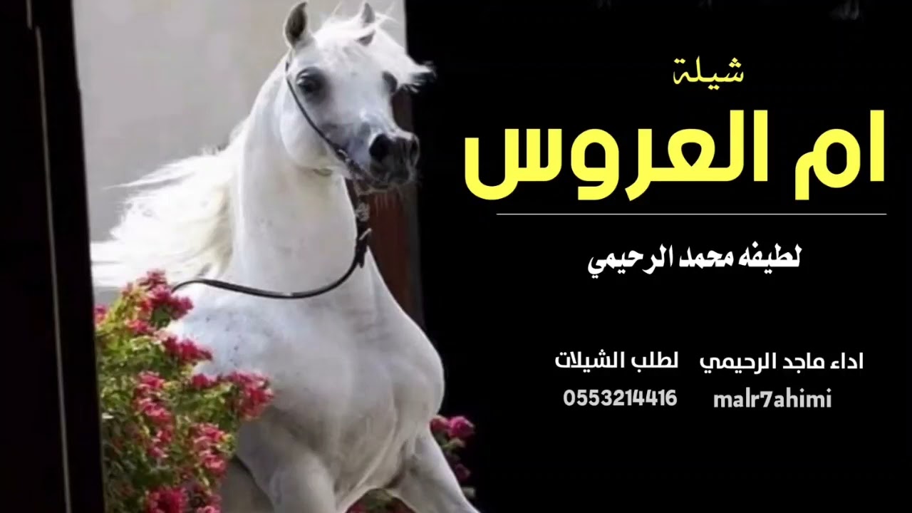شيلة/ ام العروس / لطيفه محمد الرحيمي / اداء/ ماجد الرحيمي