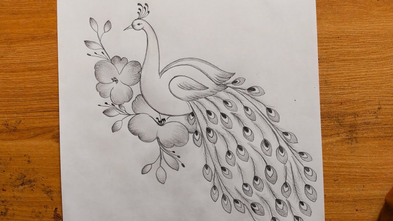 Beautiful peacock drawing step by step pencil drawing tutorial| peacock drawing with flower 