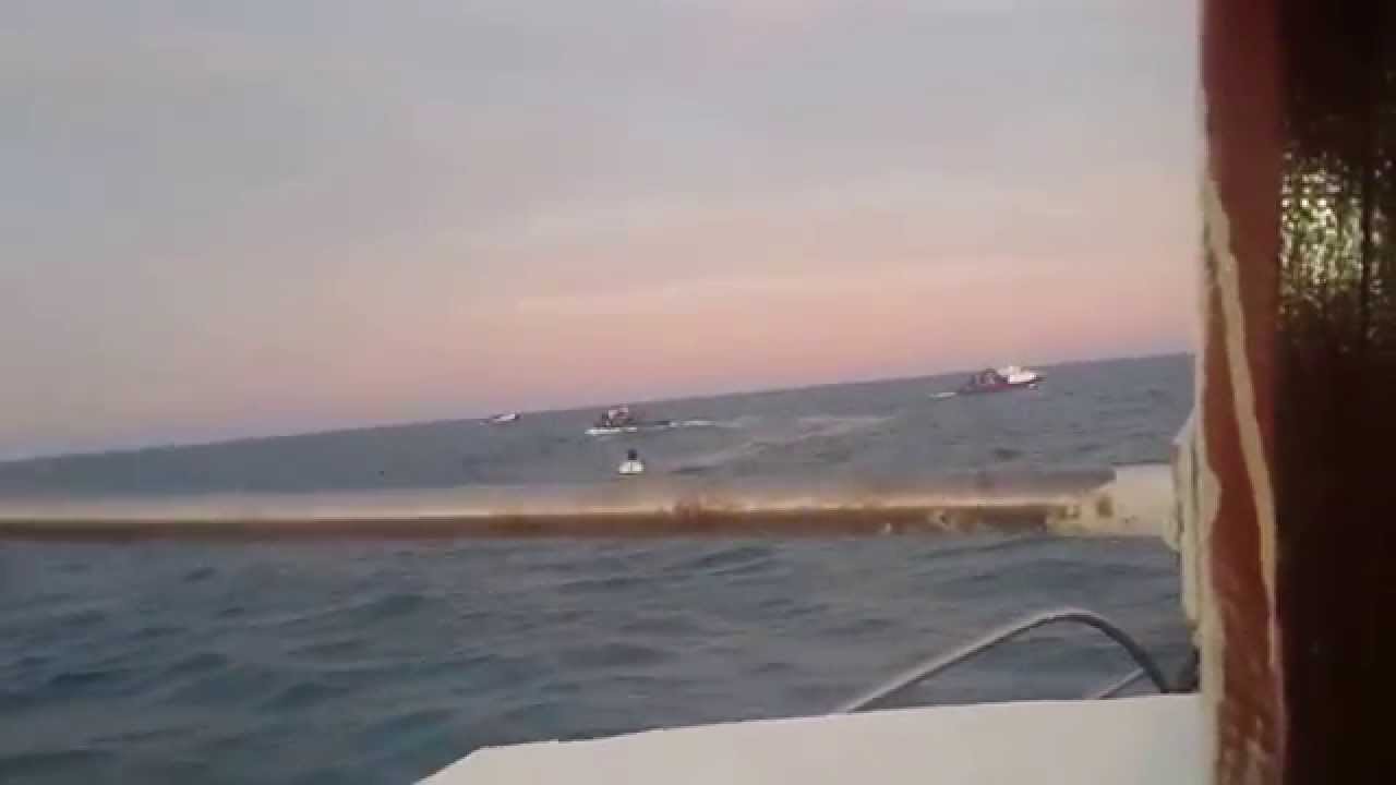 lili wassim bi 702 peche sardine