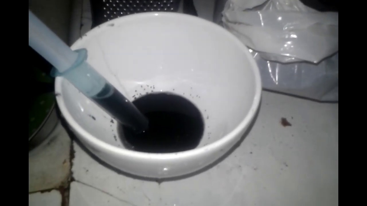 CÃO INTOXICADO, O QUE FAZER? | Amigo Caçador - Rogério Amaro