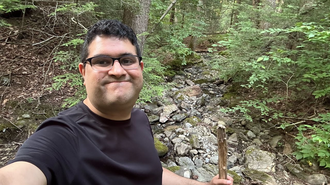 Mount Washington state forest