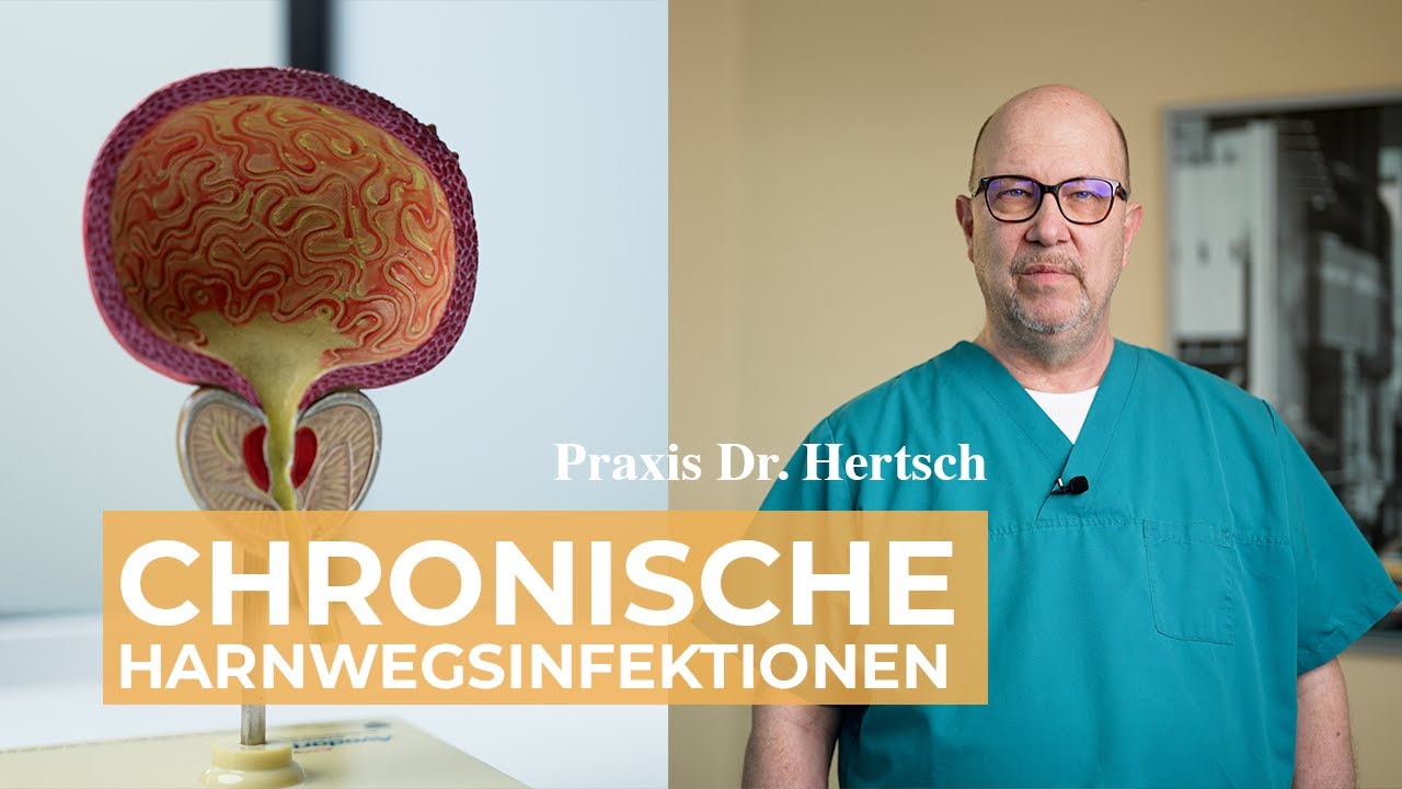 Chronische Harnwegsinfektionen