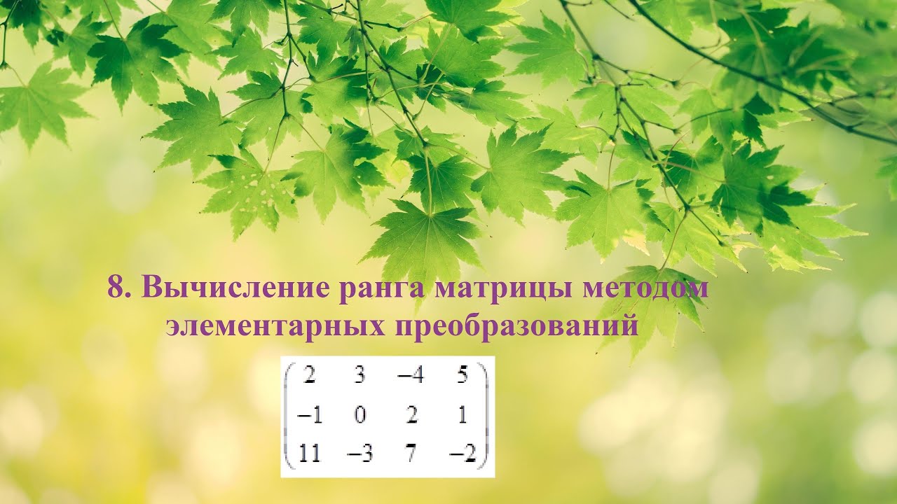 8. Вычисление ранга матрицы методом элементарных преобразований