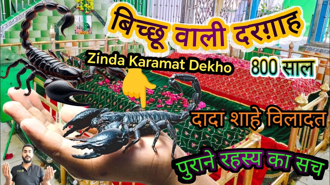 Bicchu Wali Dargah ka Zinda Karamat Dekho इतिहास!! #viralvideo #vlog #history #video #love #facts