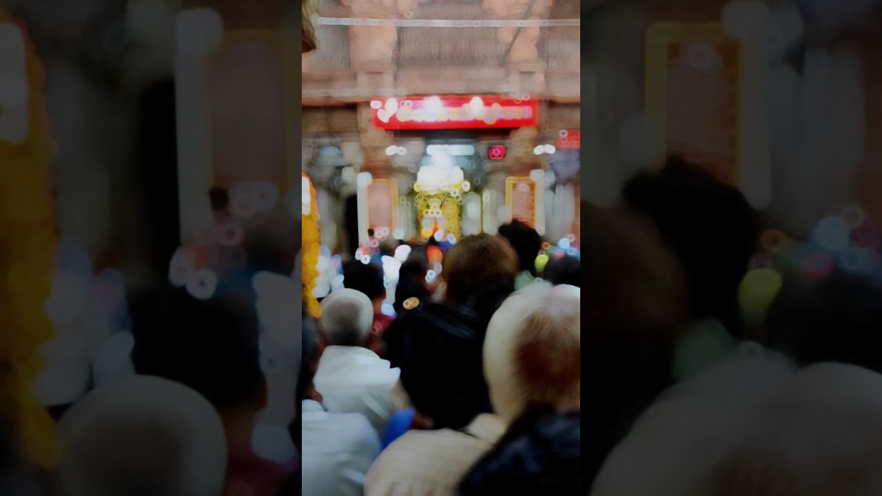 shamlaji temple #viral #shorts #kaushikdamor #temple