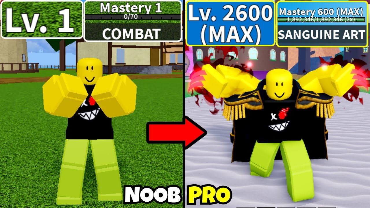 Beating Blox Fruits using All Fighting Styles! Level 0 to Max Level Noob to Pro in Blox Fruits!