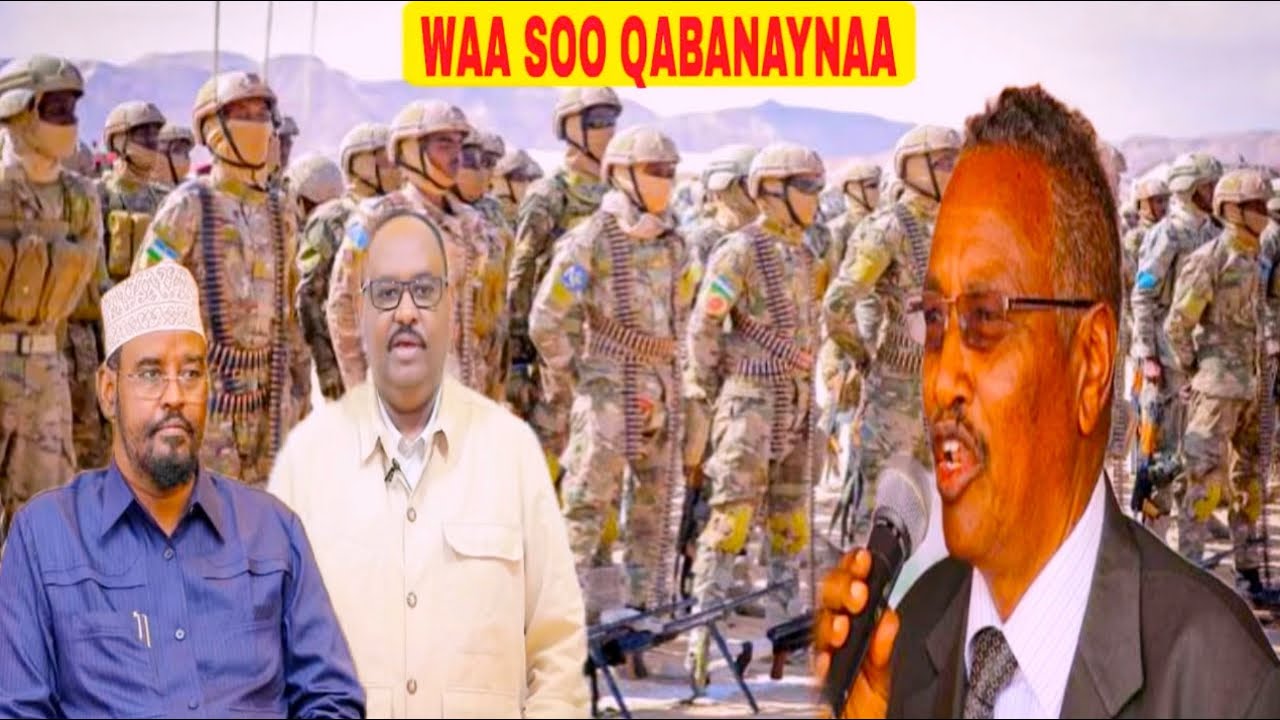 Xasaasi Puntland oo Ciidan soo qabta Xasan Sheekh Muqdisho u diraysa,Jawahir Baarqab Farmaajo weerar