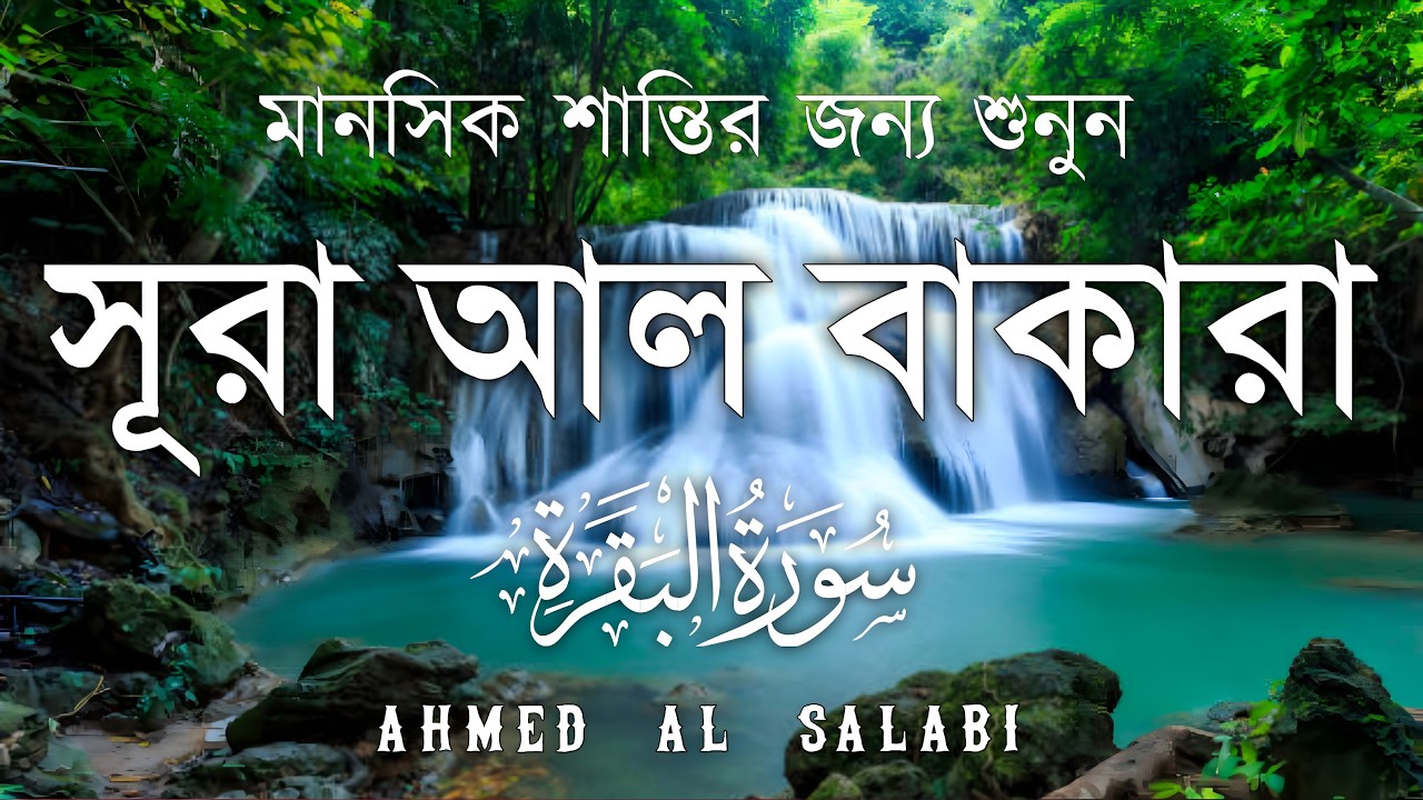 ঘরের উন্নতির জন্য সূরা বাকারা প্রতিদিন শুনুন I Surah Baqarah Full Quran Recitation | Ahmed Al Salabi