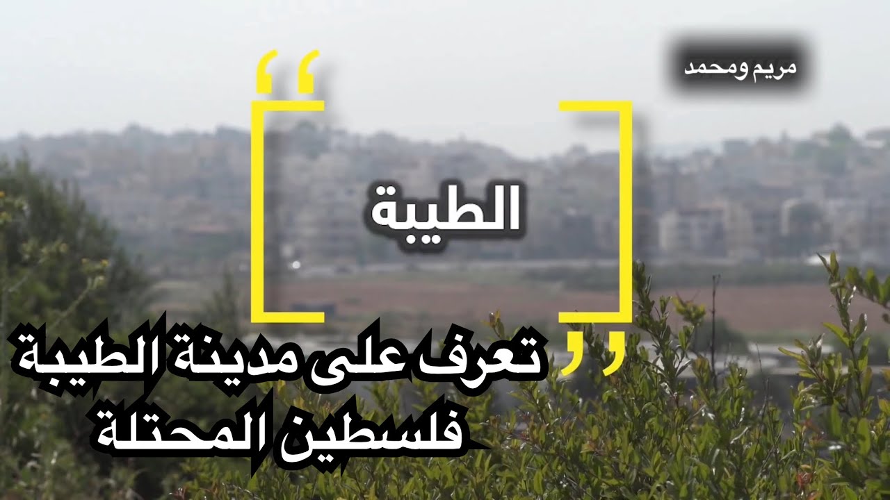 تعرف على مدينة الطيبة - فلسطين المحتلة