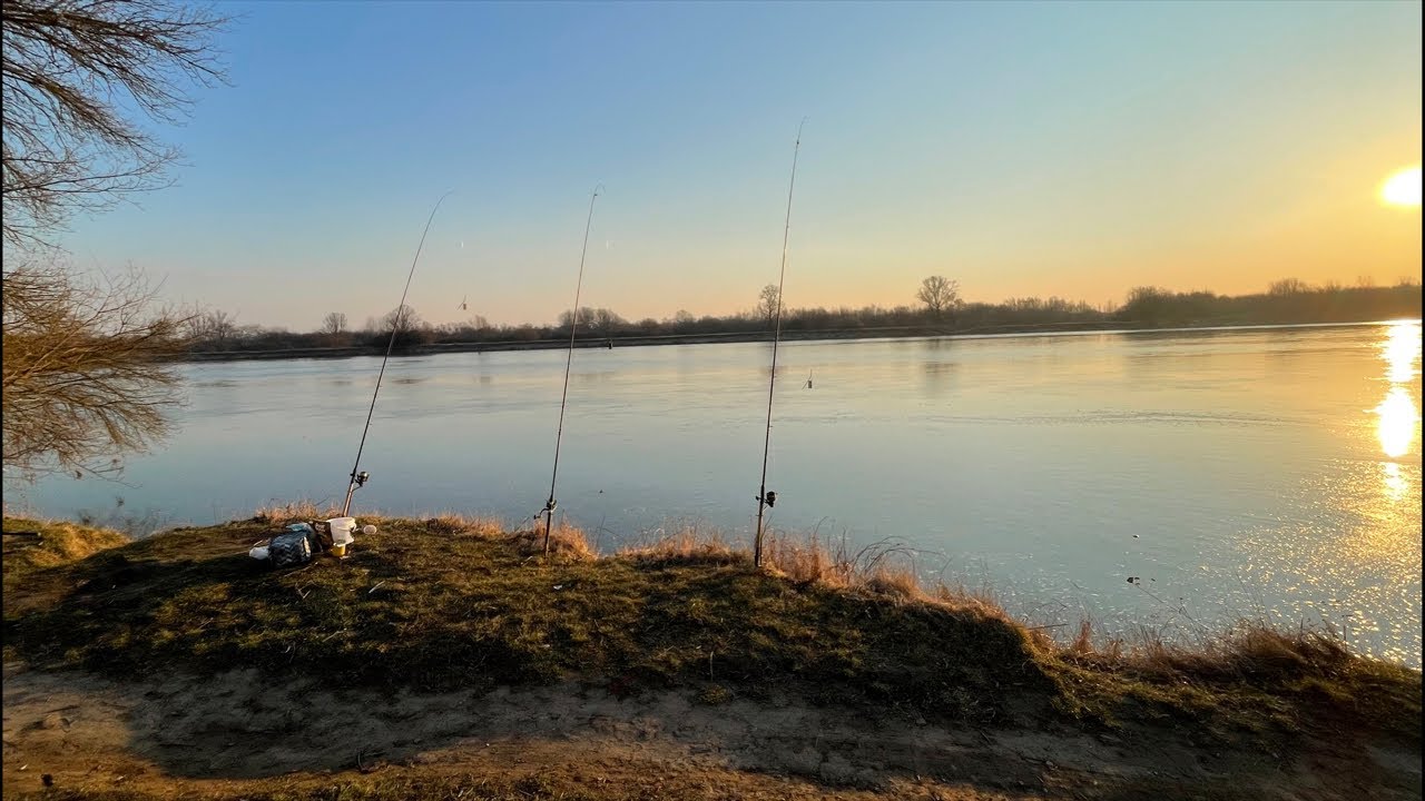 Wiślany Live z TOMCZYKwedkuje 14.03 cz.2