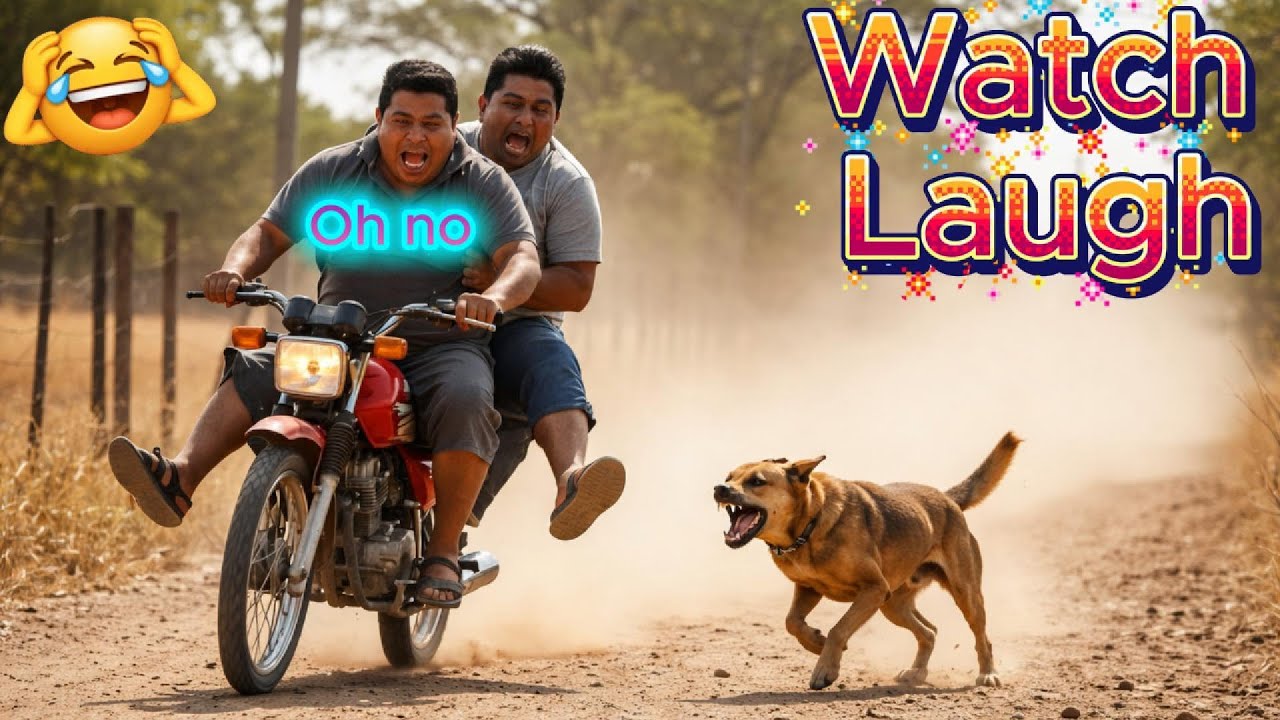 Watch = Laugh 😆 | Impossible Not To Laugh (Funny Fails) 😂 Try Not To Laugh