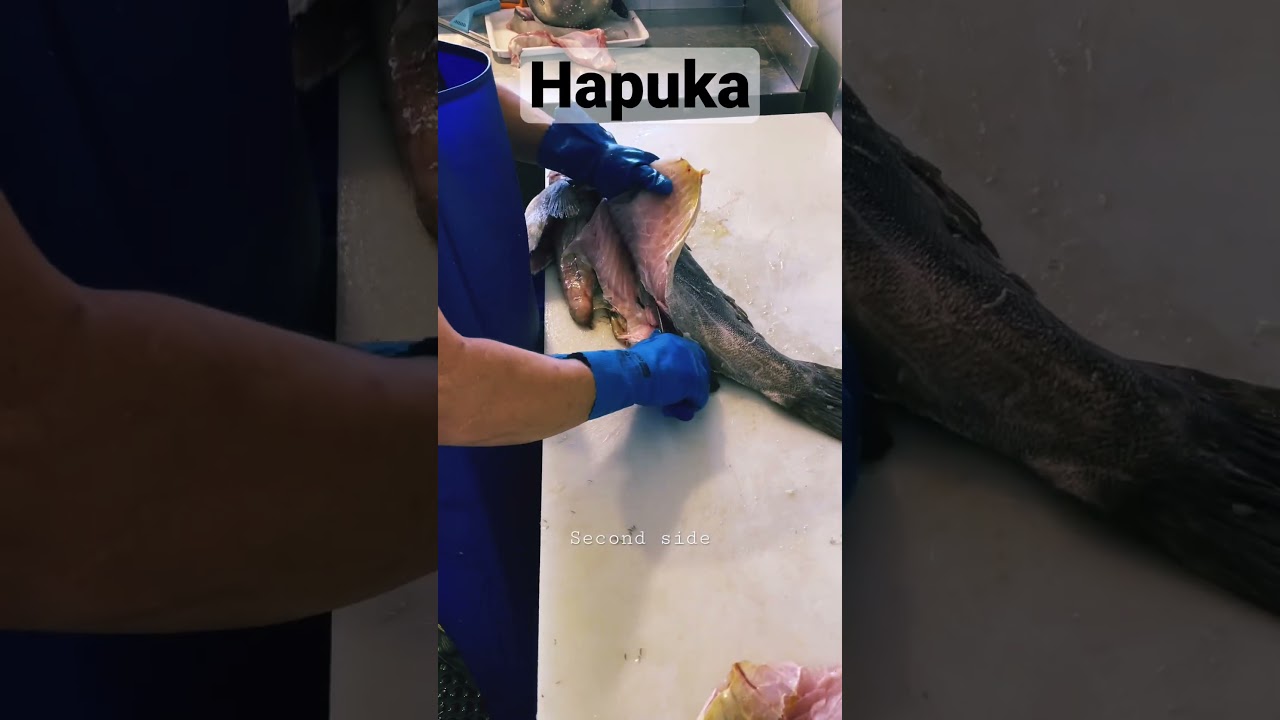 Hapuka filleting by Mr. M (2/2) #hapuka #australia #seafresh #perth #fishcutting #filleting