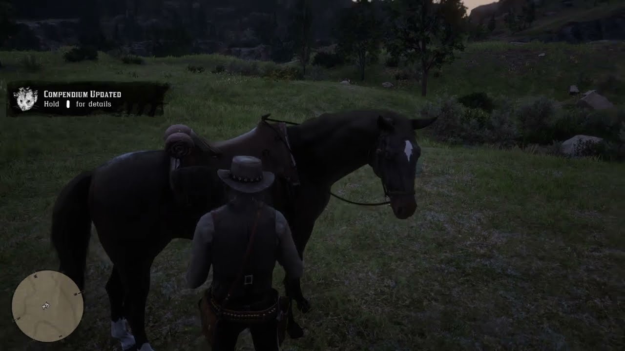Red Dead Redemption 2