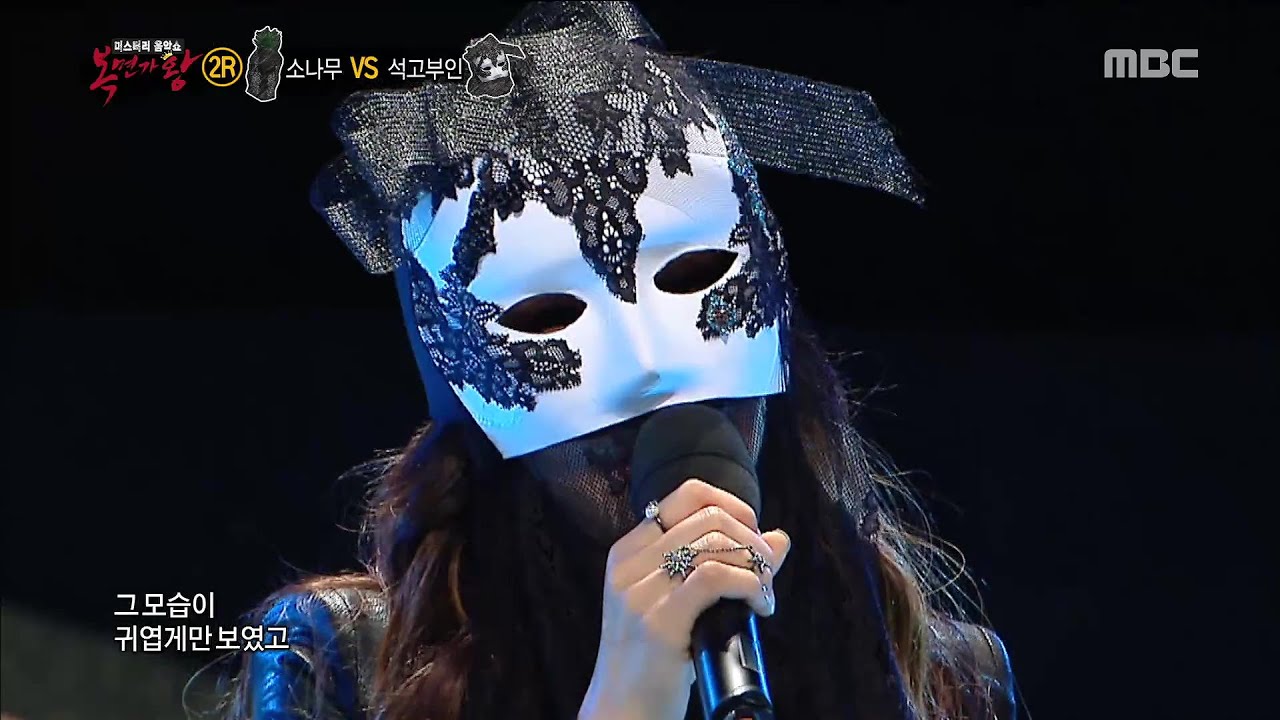 [King of masked singer] 복면가왕 스페셜 - Jang Hye Jin - From January To June, 장혜진 - 1월부터 6월까지