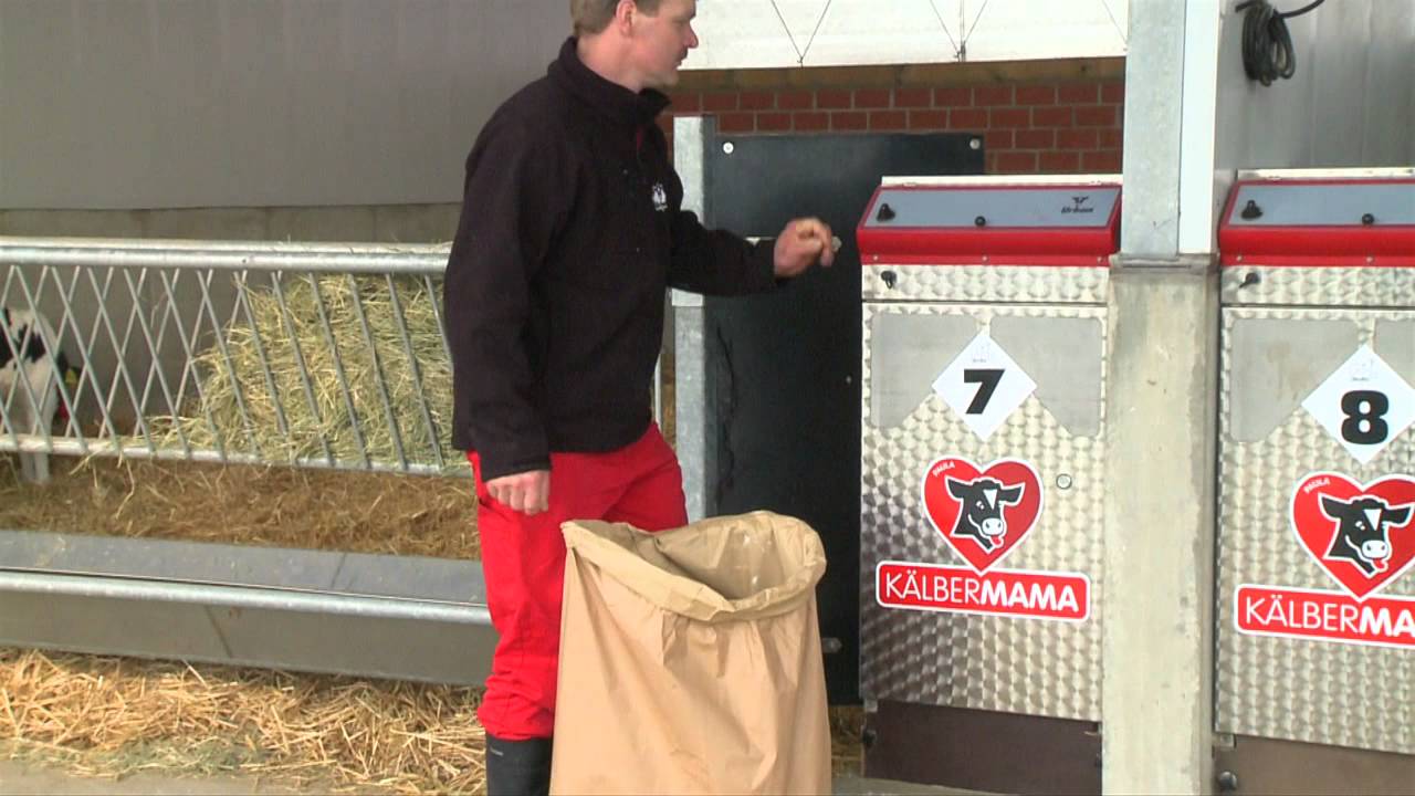 Urban Kälbermama Paula DEUTSCH 720p