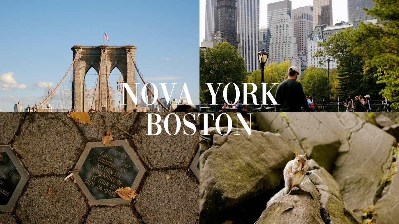 ESTADOS UNIDOS - um bom hotel, como me senti sobre a segurança e oásis no meio da cidade