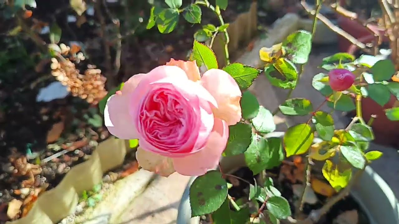201...Х.Ф.  ;ЛЕГЕНДА О НАРАЯМИ...ЖУТКОЕ ВОСПОМИНАНИЕ🙏🙏🙏