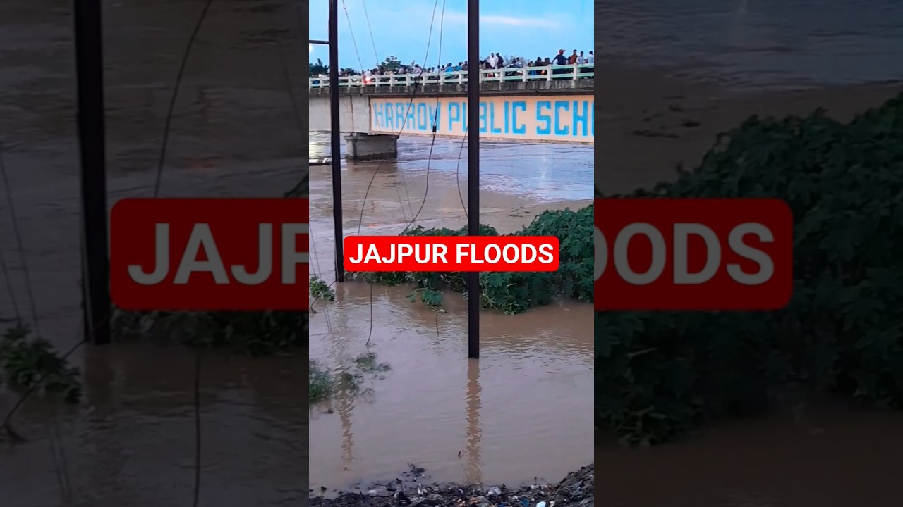 Baitarani Viral Flood #shortvideo #jajpur #baitaraniriver #flood