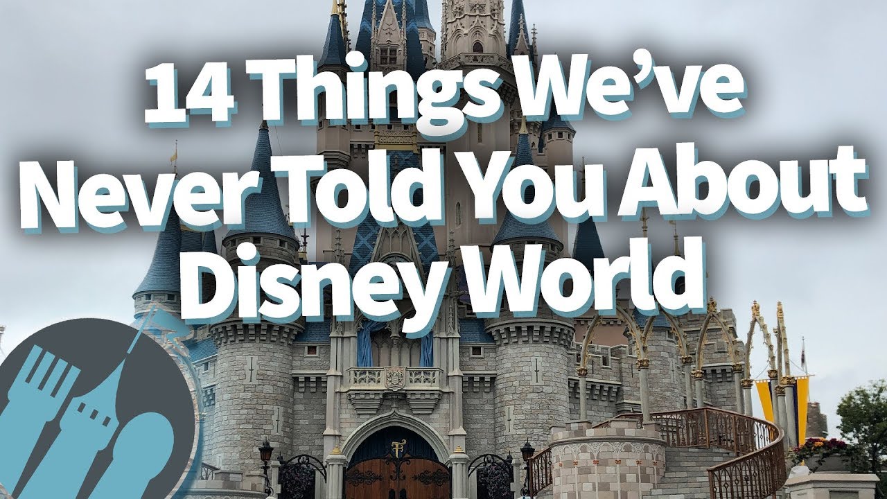 14 Things We've Never Told You About Disney World...But You Should Know!