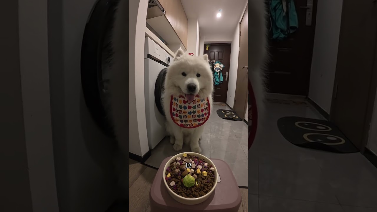 You deserve to have the Shao Ye brand alarm clock#vlog Daily Life