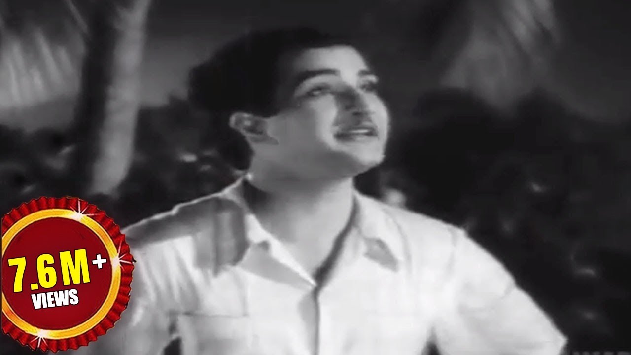 Missamma Movie || Raavoyi Chandamaama Video Song || NTR, ANR, SVR, Savitri, Jamuna
