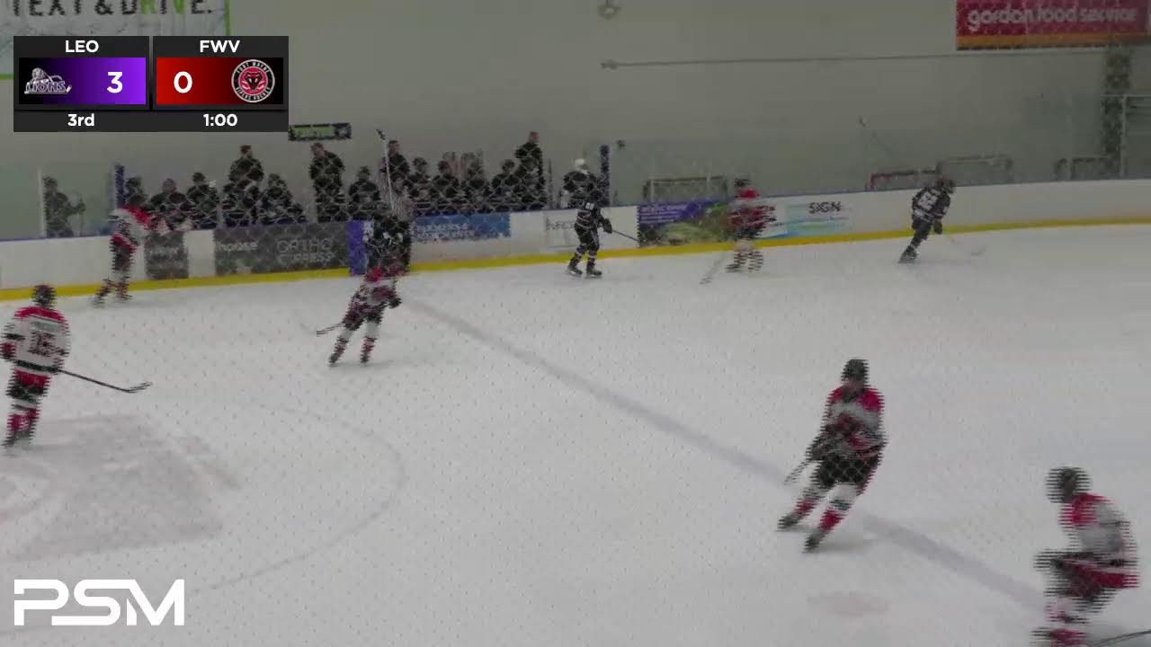Vipers vs. Leo | Fort Wayne Amateur Hockey | SummitCitySports