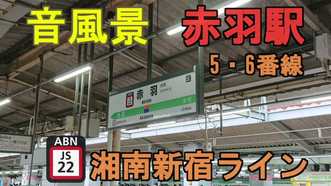 【音風景】赤羽駅5・6番線＜湘南新宿ライン＞(2022.10.15)【駅環境音】